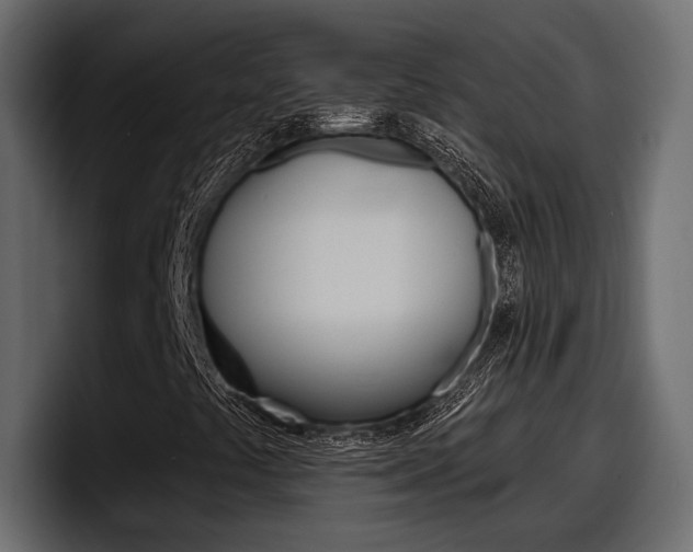 X0000098051441200803280721