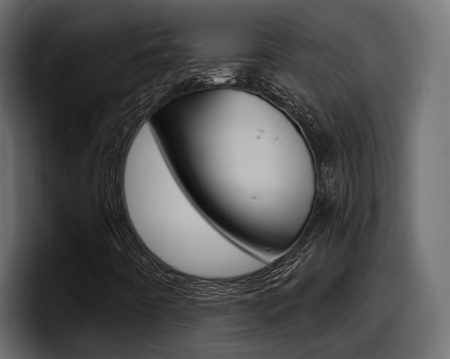 X0000098051442200803280721