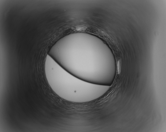 X0000098051443200803280721