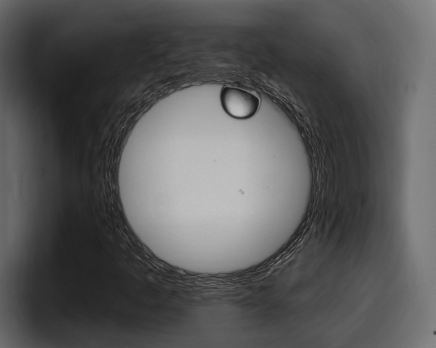 X0000098051445200803280721