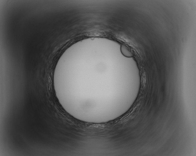 X0000098051446200803280721