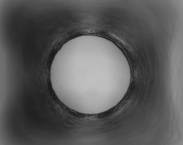 X0000098051447200803280721