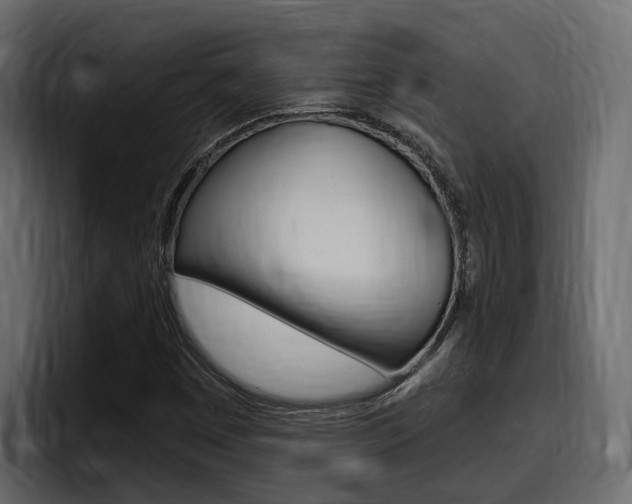 X0000098051449200803280721