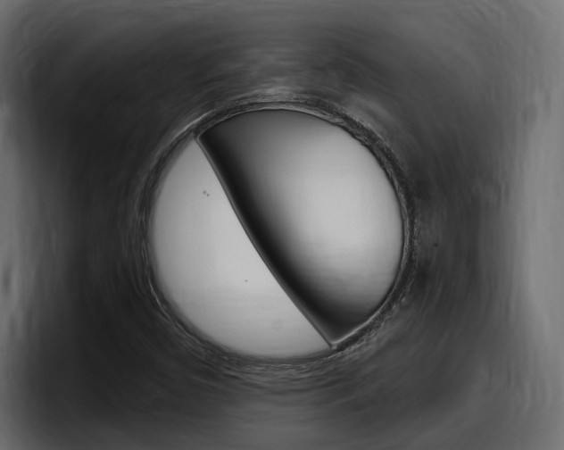 X0000098051450200803280721