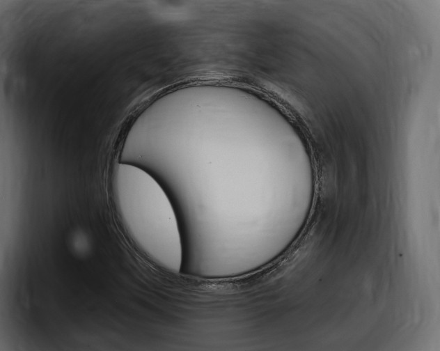 X0000098051451200803280721