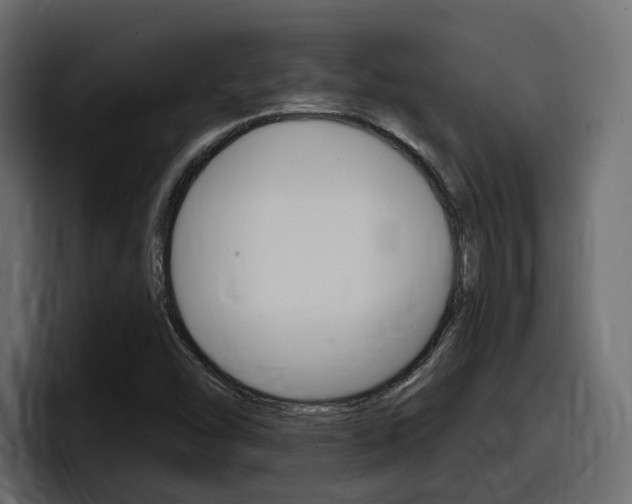 X0000098051454200803280720