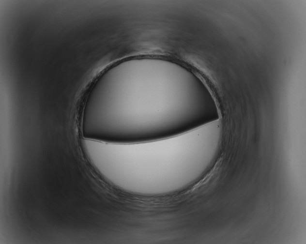 X0000098051455200803280720