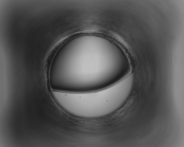 X0000098051456200803280720