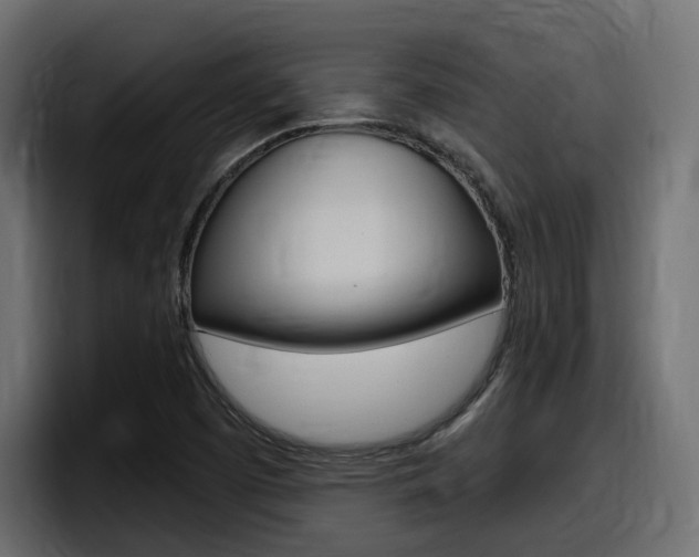 X0000098051457200803280720