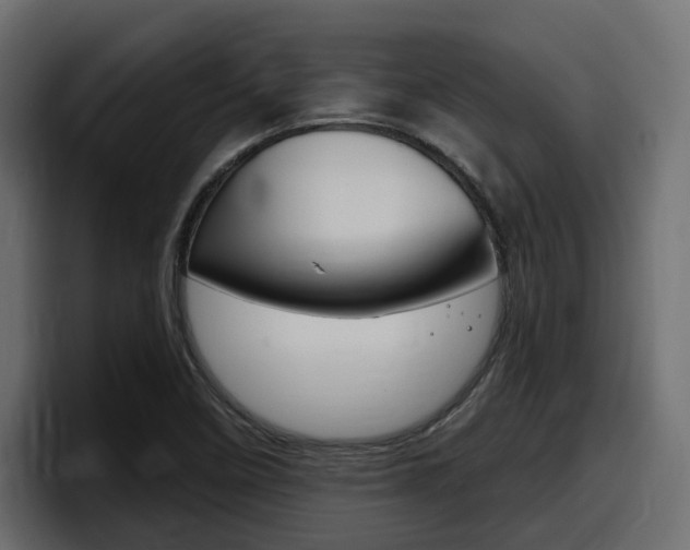 X0000098051458200803280720