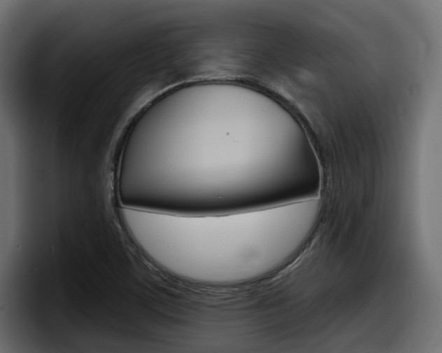 X0000098051459200803280720