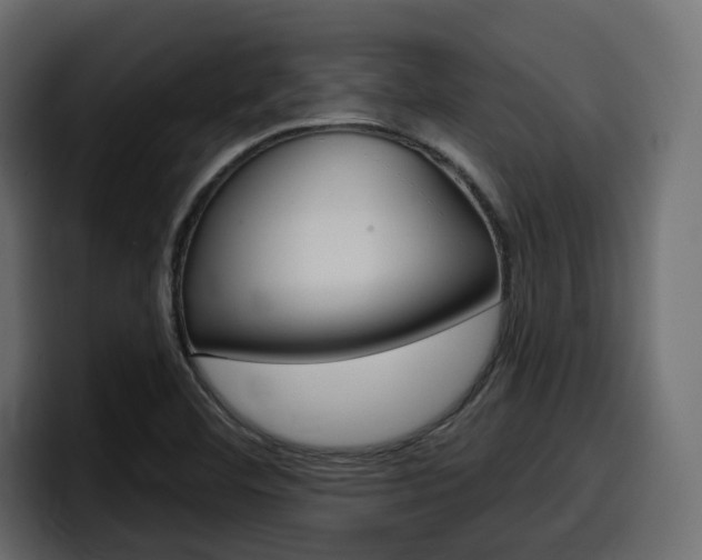 X0000098051460200803280720