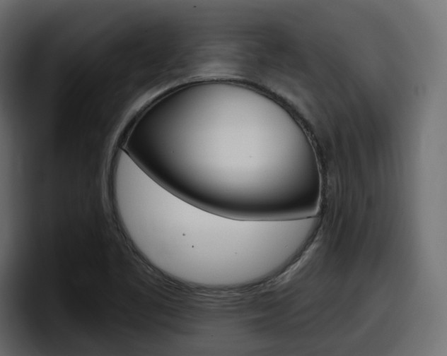 X0000098051461200803280720