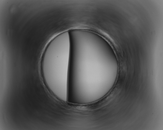 X0000098051463200803280720