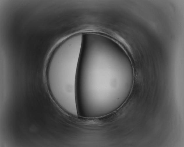 X0000098051464200803280720