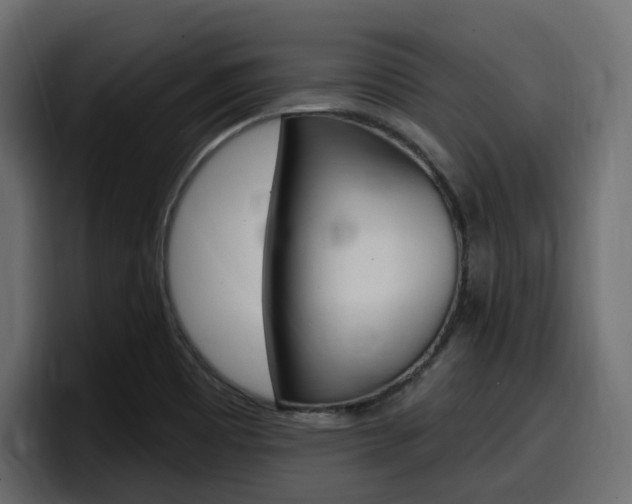 X0000098051465200803280720