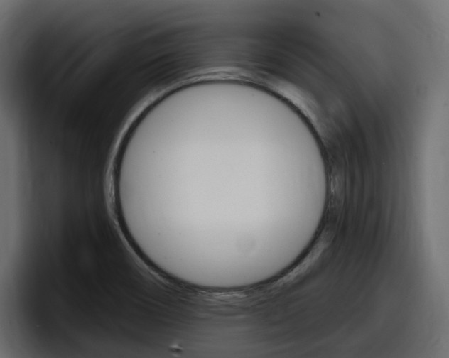 X0000098051466200803280720