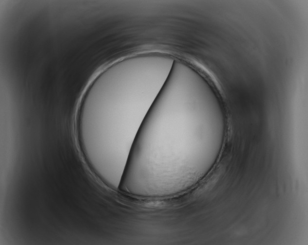 X0000098051467200803280720