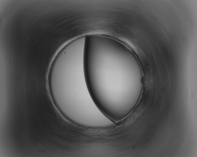 X0000098051468200803280720
