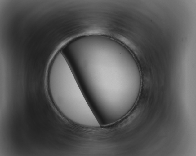 X0000098051469200803280720