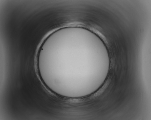 X0000098051470200803280720