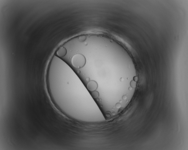X0000098051471200803280720