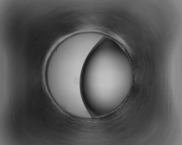 X0000098051472200803280720