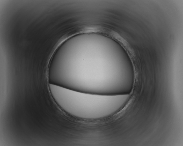 X0000098051473200803280720