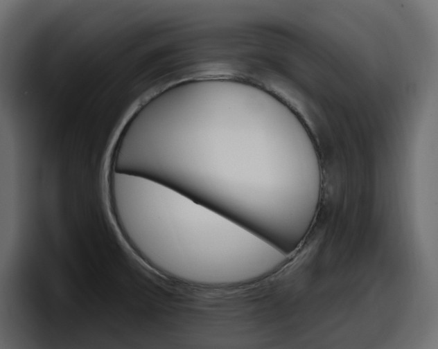 X0000098051475200803280720