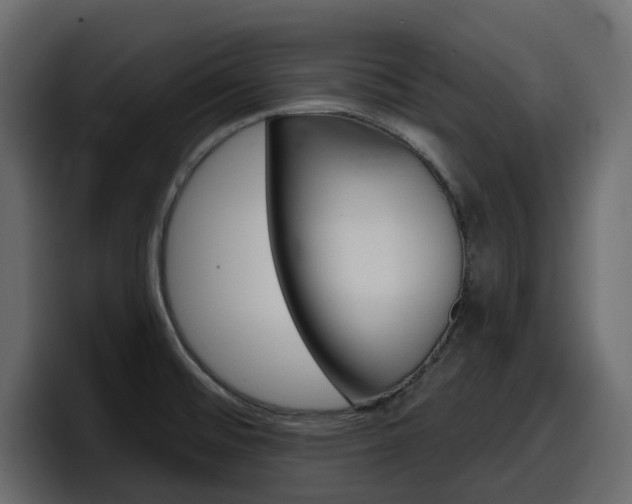 X0000098051476200803280720