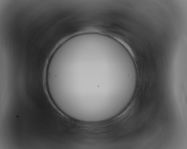 X0000098051477200803280720