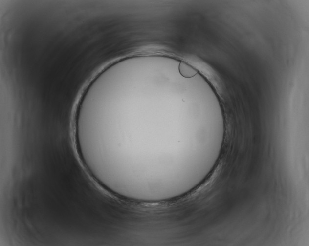 X0000098051478200803280720