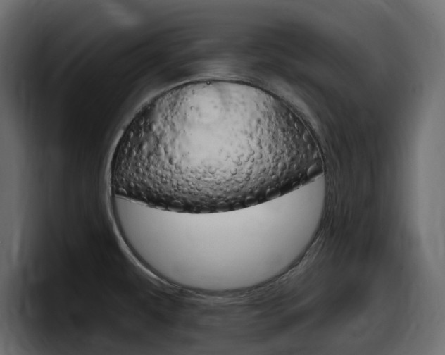 X0000098051479200803280720