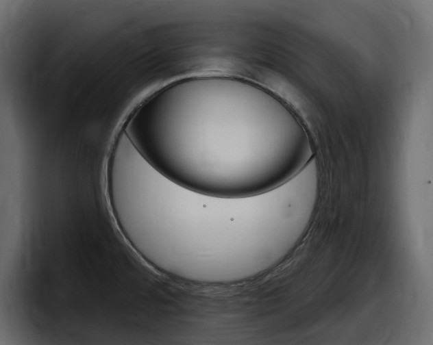 X0000098051480200803280720