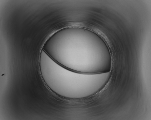 X0000098051481200803280720