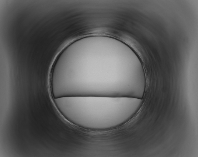 X0000098051482200803280720
