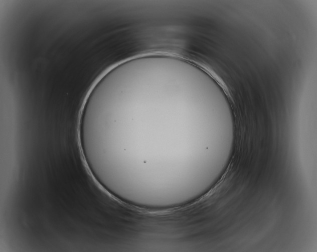 X0000098051484200803280720