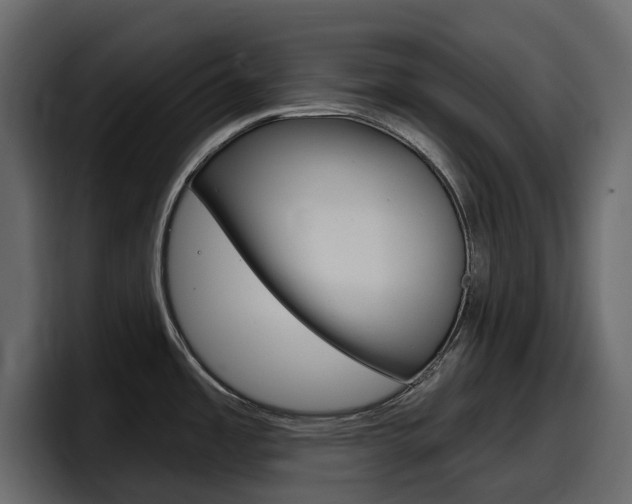 X0000098051485200803280720