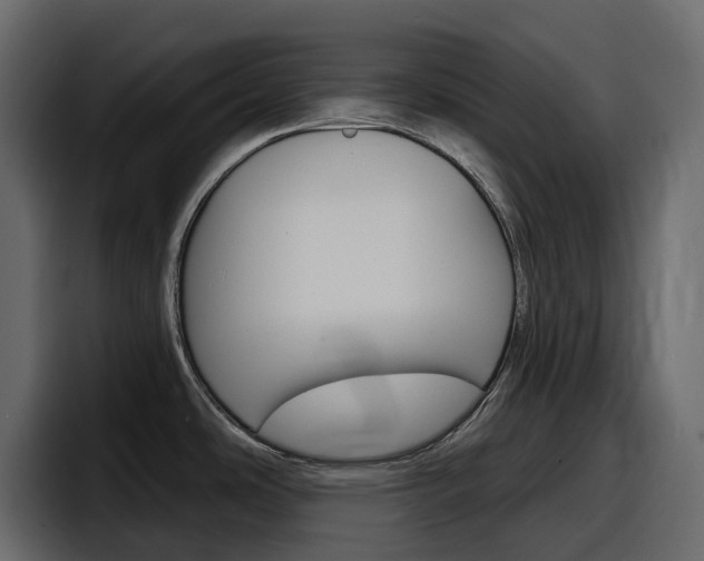 X0000098051486200803280720