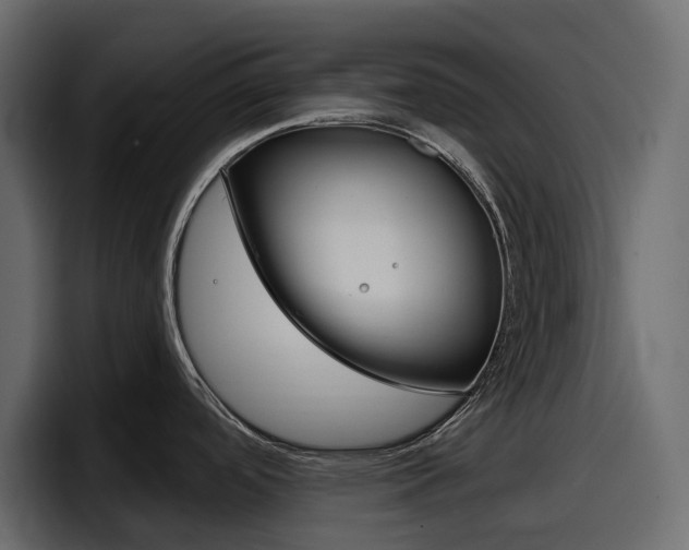 X0000098051488200803280720