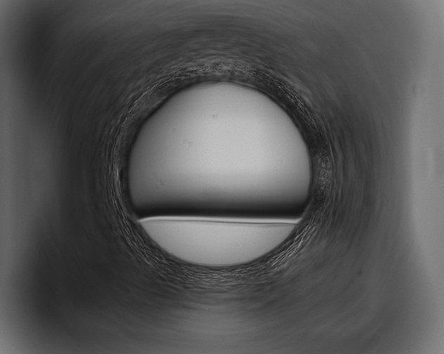 X0000098051489200803280719