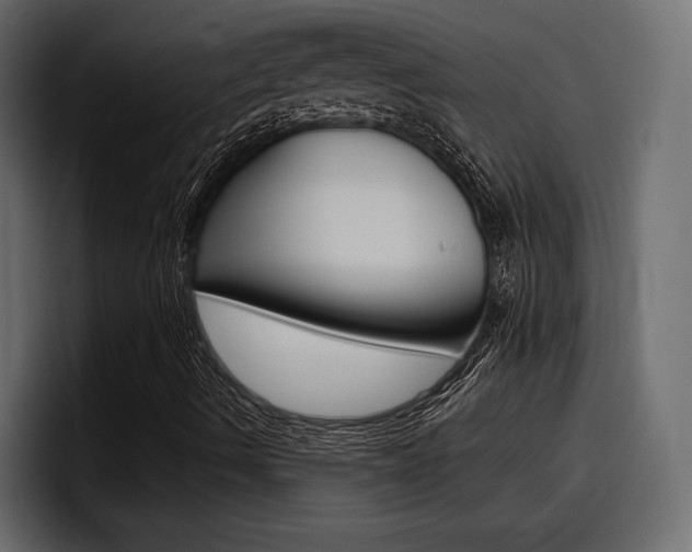 X0000098051490200803280719
