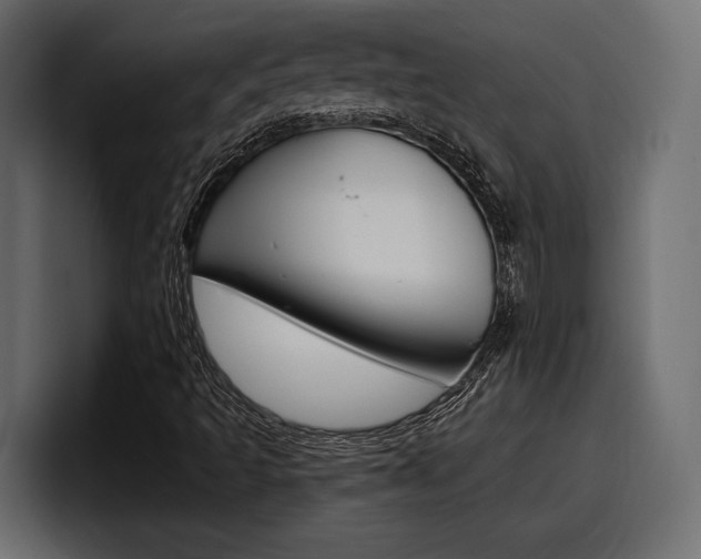 X0000098051493200803280719