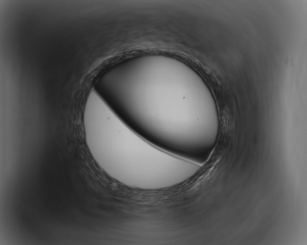X0000098051494200803280719