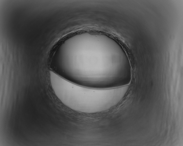 X0000098051496200803280719