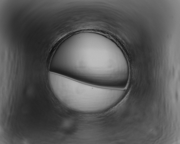 X0000098051497200803280720