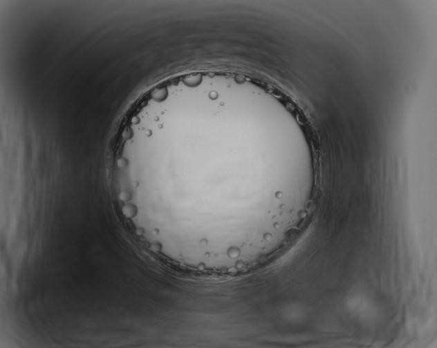 X0000098051498200803280720