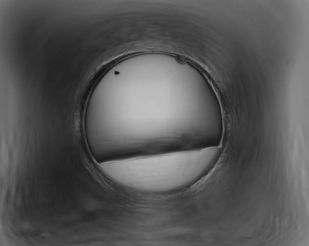 X0000098051499200803280720