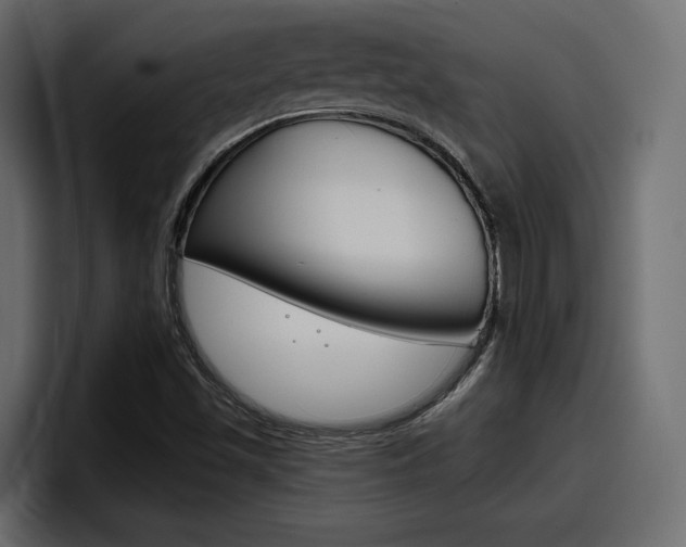 X0000098051501200803280720