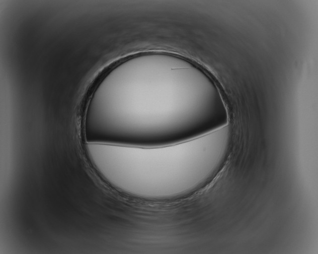 X0000098051503200803280720